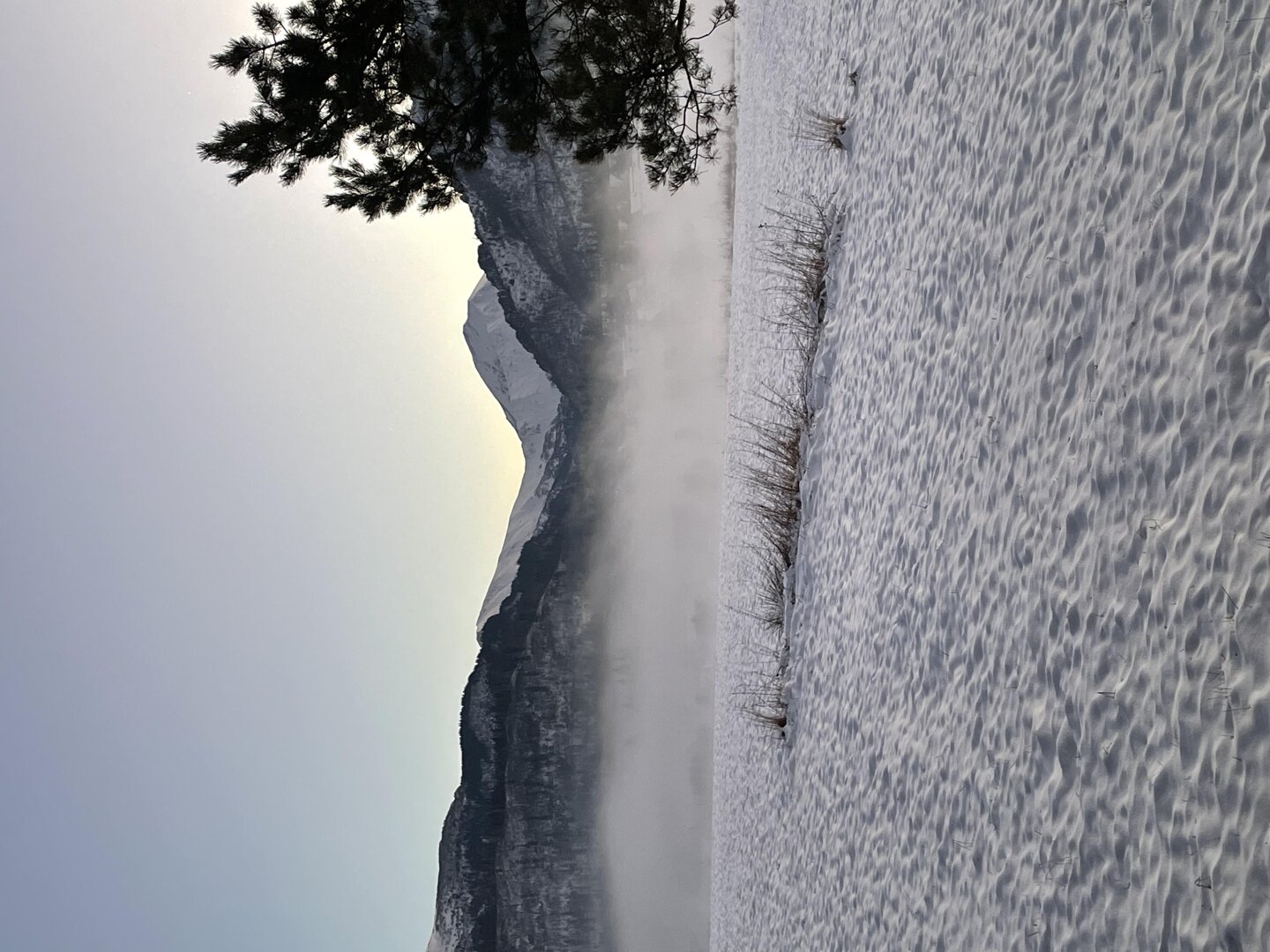 DARIUSZ CIERNICKI PROFIMA - 3