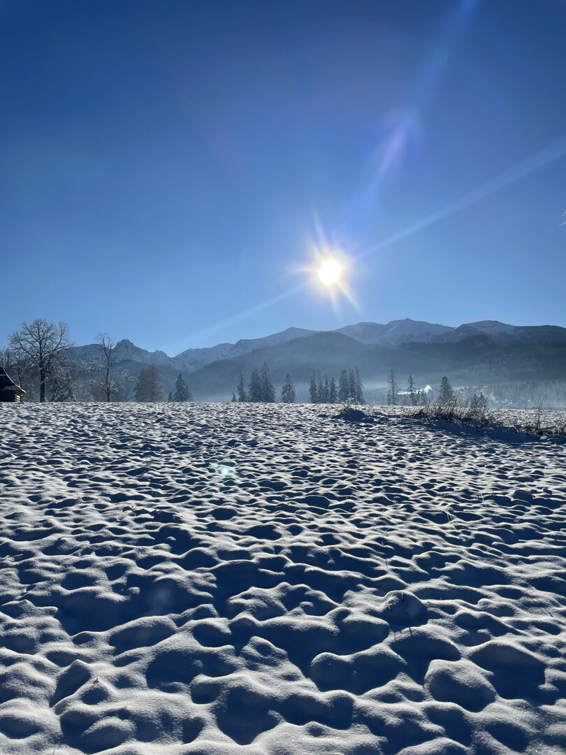 DARIUSZ CIERNICKI PROFIMA - 5