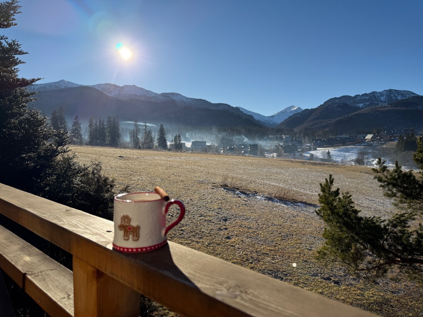 DARIUSZ CIERNICKI PROFIMA - 9